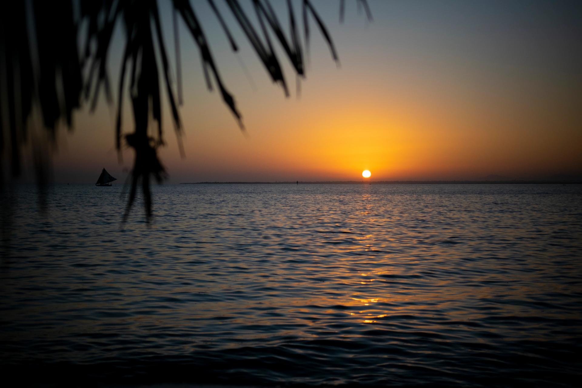 Palm-Framed Sunset - Cap-Haitien, Haiti